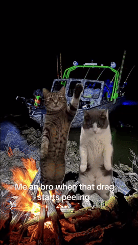 Dance GIF