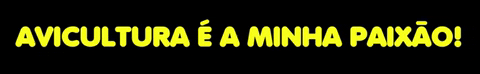 Avicultura Blog GIF