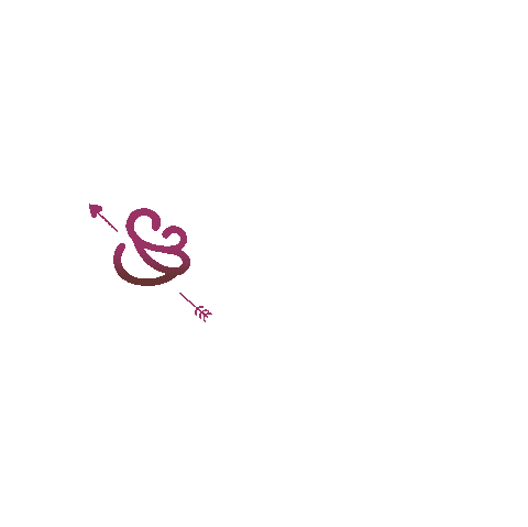 kangura Sticker