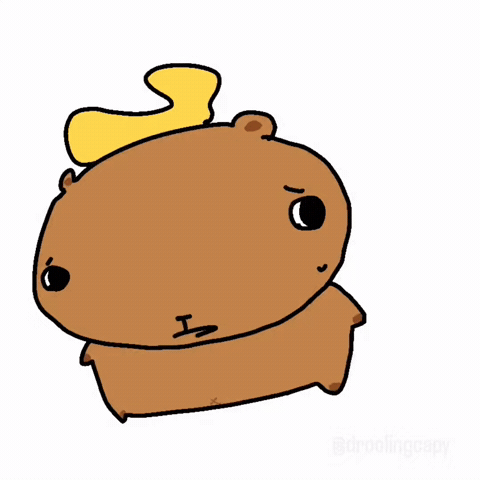 Judge Capybara GIF