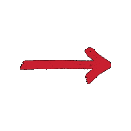Southeast Missouri State University Sticker by SEMissouriState