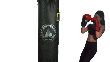 Gezer Sports Sticker