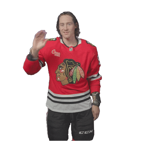 Tyler Bertuzzi Chicago Sticker by NHLBlackhawks