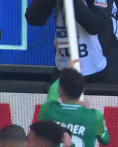 Hsv GIF