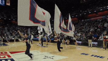 Cheer Flags GIF by BIG EAST Conference