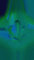200.gif?cid=fc005b08a99ce8dcd3dbec9cf6d1c95306582271a4892f09&rid=200.gif&ct=g