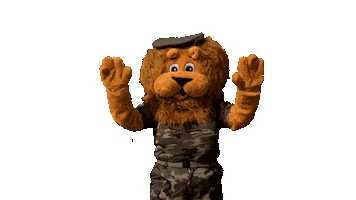 Kids Lion Sticker by Veteranen TV & Radio