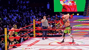 Lucha Libre Wrestling GIF