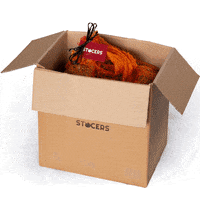 200.gif?cid=fc005b087347148abf2418b820db9f91e300ab5061c71786&rid=200.gif&ct=g