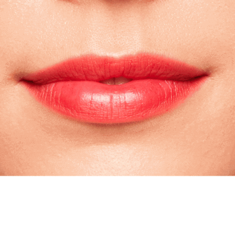 Lapidar Odonto Sticker