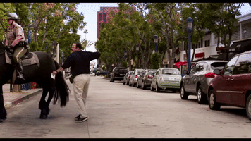 lucianocruz-0bea funny police dumbass horse kick GIF