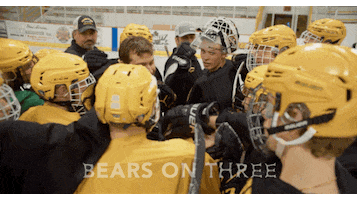 hockeyland lets go bears hockeyland high school hockey GIF