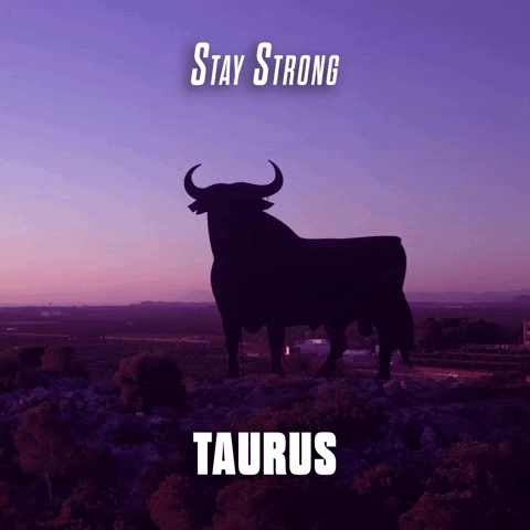 Where are all the taurians at ?
