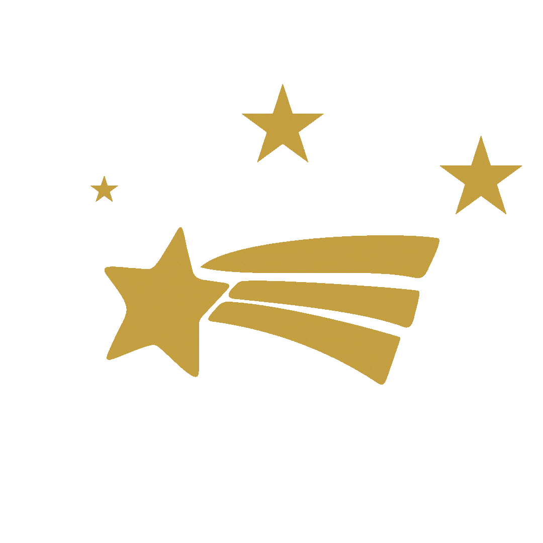 Star Noel Sticker by Young Missio Switzerland