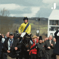 Aintree gifs - Find  Share on GIPHY
