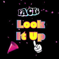 Facts Look It Up GIF by The3Flamingos