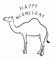 Wednesday Morning Drawing GIF by Susanne Lamb Wednesday Morning Drawing GIF by Susanne Lamb