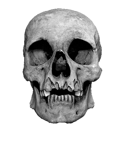 Fire Skull Sticker by Wytchlab