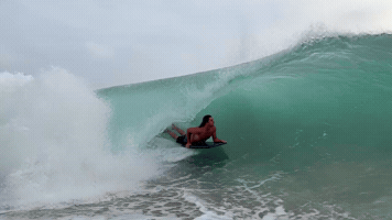 GIF by Rudy.mfg
