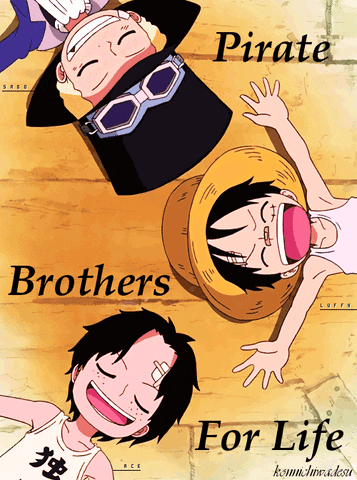 One Piece Brothers GIF
