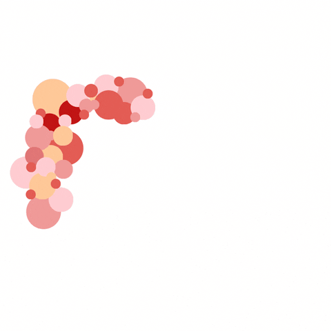 cloudbash GIF