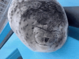 Tongue Seal GIF
