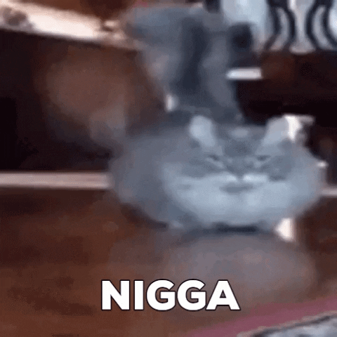 Catweiner GIF