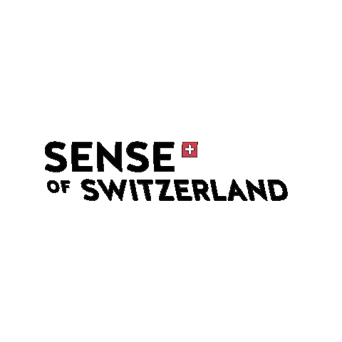 Sense of Travel Sticker