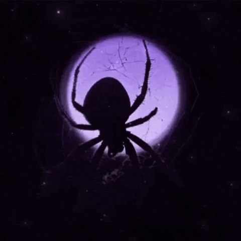 Purple GIF