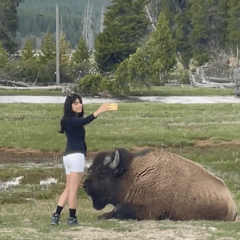 Selfie Buffalo GIF by Storyful