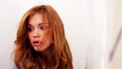 holland roden