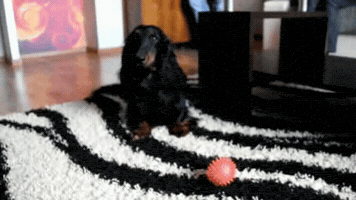 axn0b3jpaze5odzabwfpbc5ydq  GIF