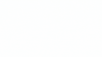 MundiviajaNuevaYork GIF