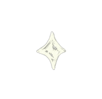 Stick Collective™ Sticker