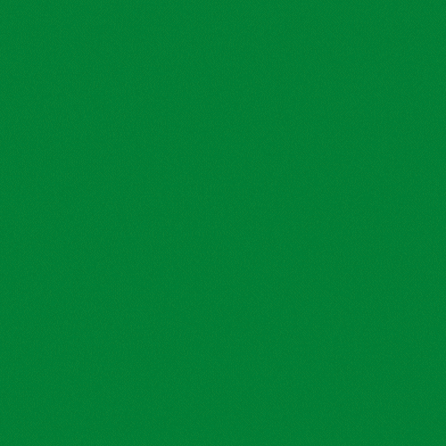 St Patricks Day Festival GIF by sendwishonline.com
