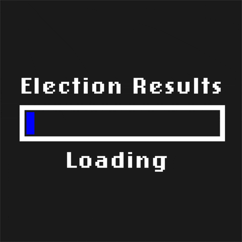 Right To Vote Election 2020 GIF by Mozilla