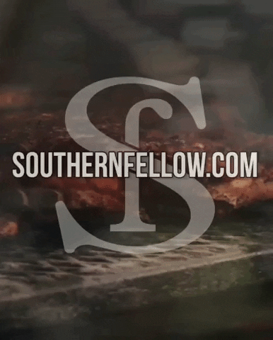 southernfellow GIF