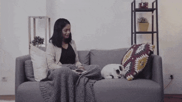 Othello PawCare GIF