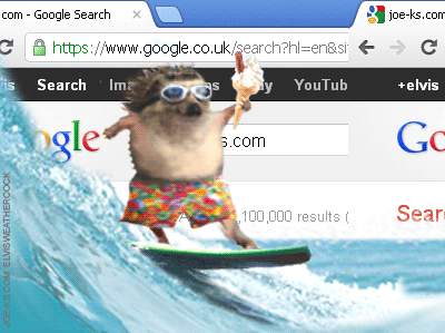 internet surfing GIF