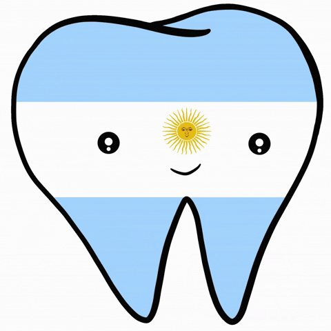 Argentina Flag Smile GIF