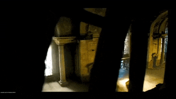 Surprise GIF