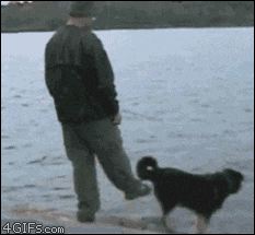 https://media0.giphy.com/media/IwsbUvffnynwA/giphy.gif?cid=790b7611f35cb995bbe0a559d26cfa1dd5ba32a78344d9fd&amp;rid=giphy.gif&amp;ct=g