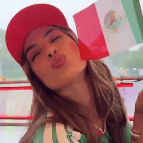 World Cup Mexico GIF