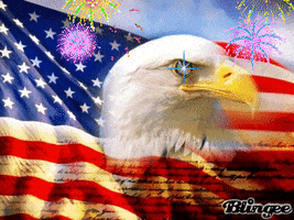 American Flag Picture GIF
