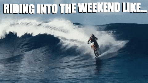 giphy.gif