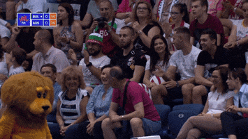 Walk Fans GIF by Volleyball World