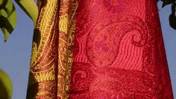 shawlheaven silk made in india silk scarf GIF