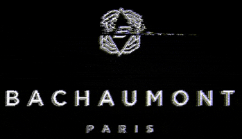 hotelbachaumont GIF