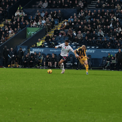 Goal Celebrations GIF by Bolton Wanderers FC