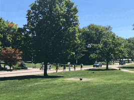 Midd GIF by Middlebury
